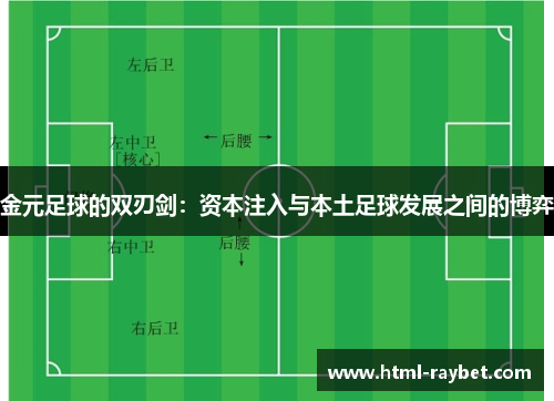 金元足球的双刃剑：资本注入与本土足球发展之间的博弈