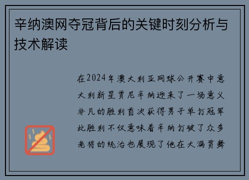 辛纳澳网夺冠背后的关键时刻分析与技术解读