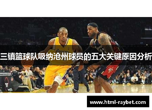 三镇篮球队吸纳沧州球员的五大关键原因分析